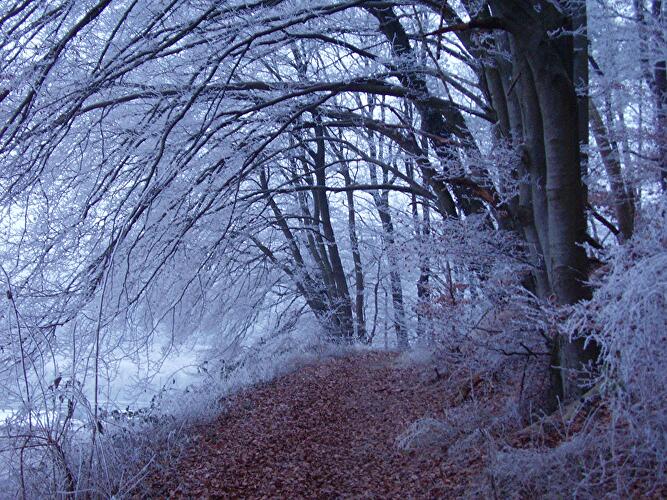 Jule - Wintersonnenwende