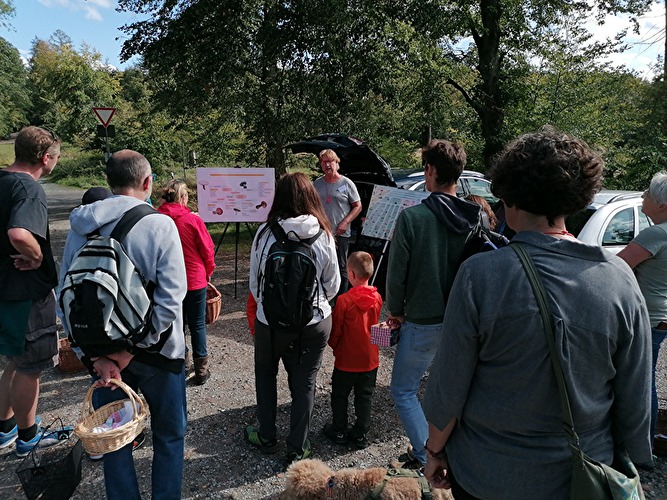 Pilze, Pilzwanderung Roter Stein Bad Schwalbach