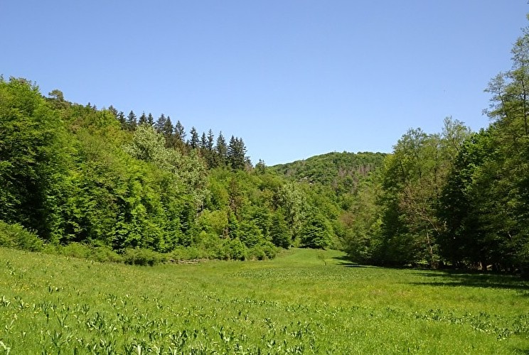 Die 12-Flüsse Tour