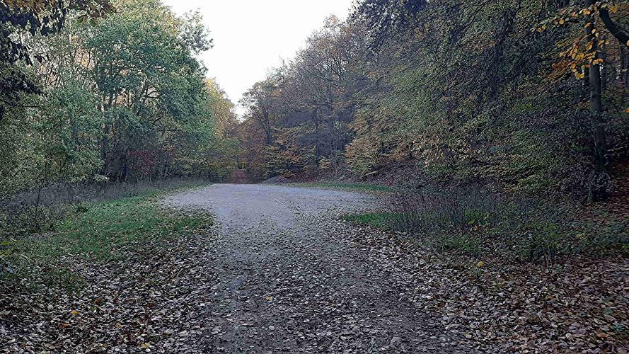 Parkplatz Bachwiesen