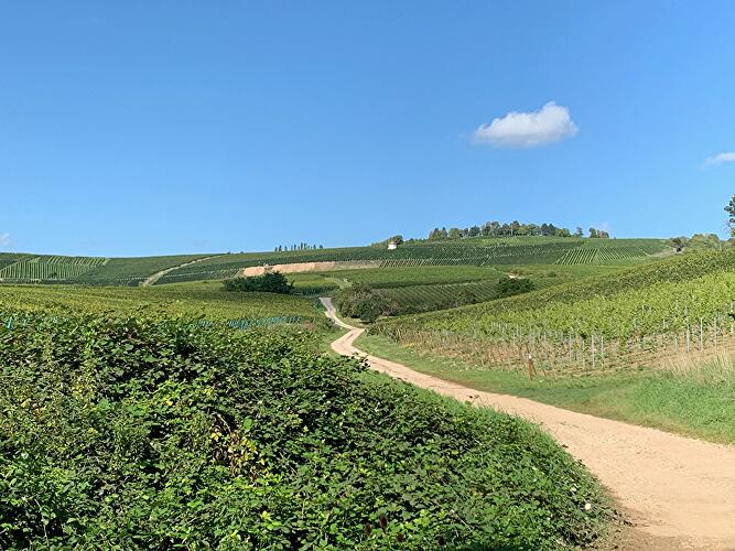 Bubenhäuser Höhe
