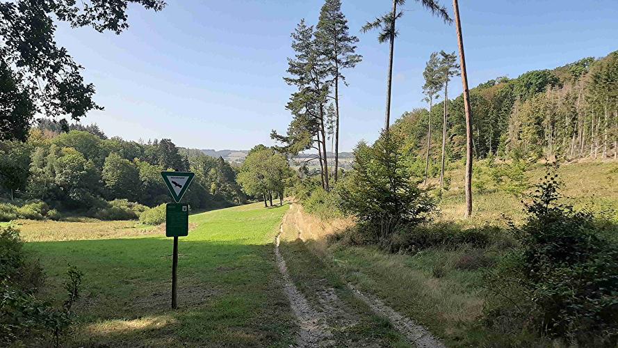 Kreuzweg - Schnepfe