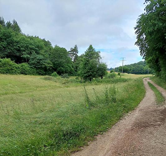 Laubach - Milan