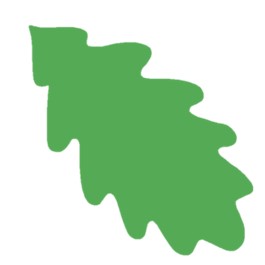 Kling - Eichenblatt