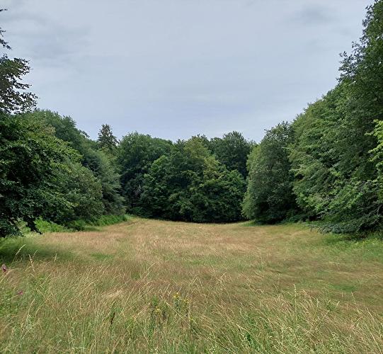 Schlehborner Heide - Milan