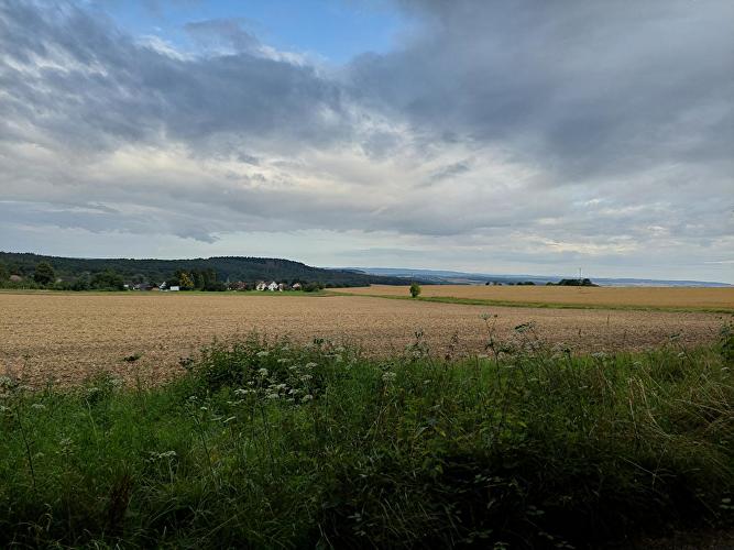 Grauer Kopf - Fichte