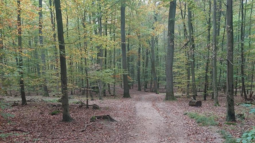 Antoniuskapelle - Keiler