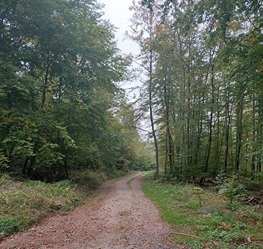 Kühtränker Kopf - Muffel