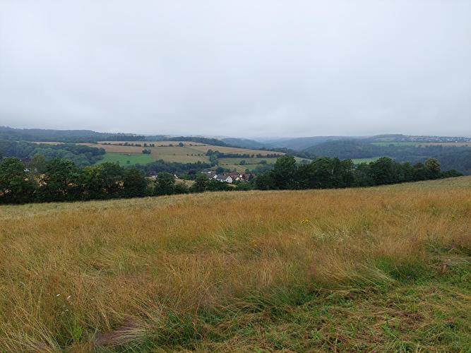Wisperblick - Schnepfe