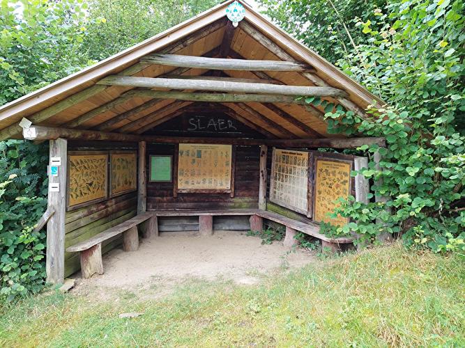 Galgenkopf - Fichte